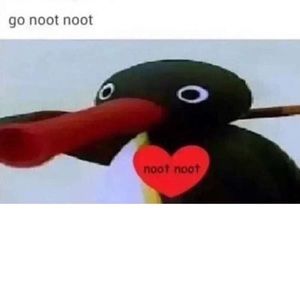 Meet your Posher, Salih